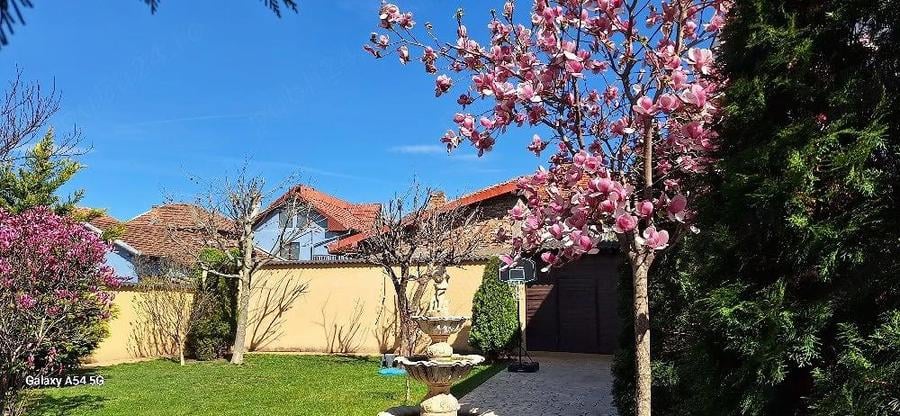 Casa unica, pozi?ie imbatabila - 6
