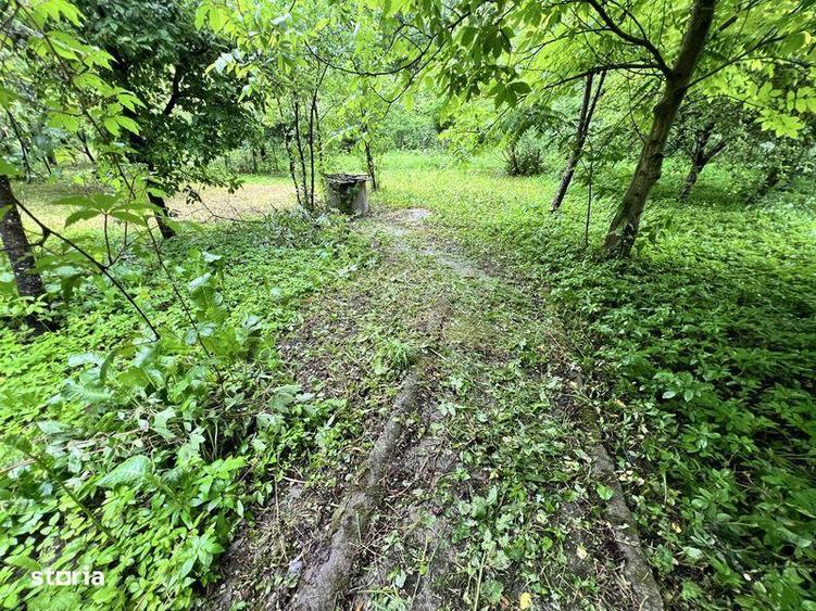 Teren si casa Provita de Jos - 4