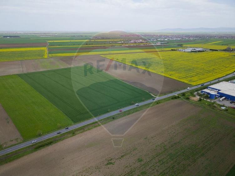 Teren 30,000mp Arad / Soseaua Centura Arad Nord - 7