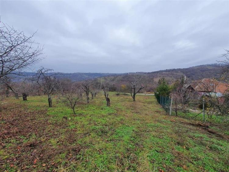 RECO Teren  in Oradea - 9