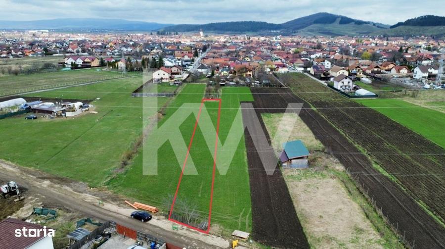 Teren agricol la cel mai mic pret - str. George Cosbuc din Sanpetru - 6