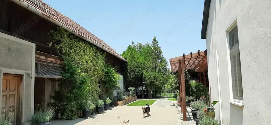 Liniste si placere - 7