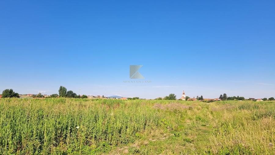 Posibilitate RATE | Teren Bod | curti constructii | utilitati | PUZ, - 11