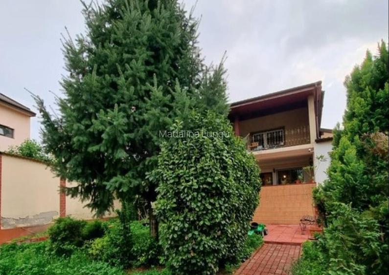 Vila Lacul Tei Investitie Vila Lacul Tei Investitie