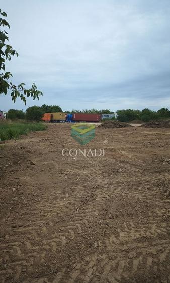 Teren zona Aeroport Otopeni pretabil hala, parcare, logistica - 4