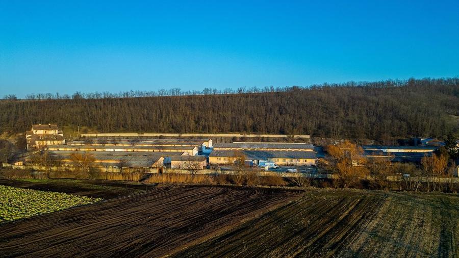 Fosta Ferma a Partidului de la Horgesti - de vanzare - 22