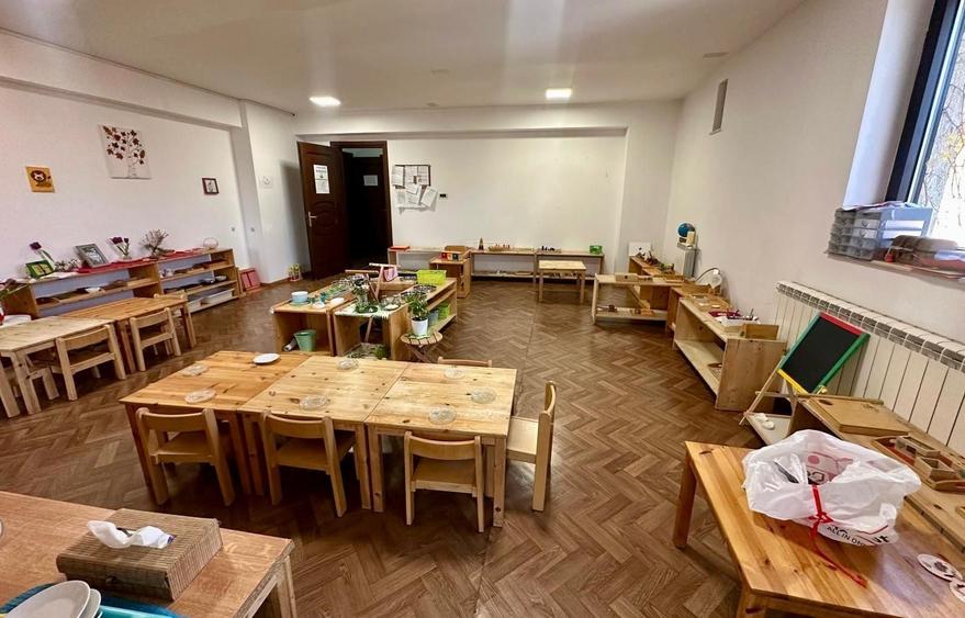 Vilă individuală 17 camere, 850 mp teren | Grădiniță / clinică | Iancu Nicolae - 6