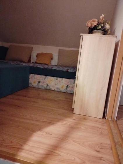 Apartament 2 camere 57mp la mansarda, Turnisor - 10