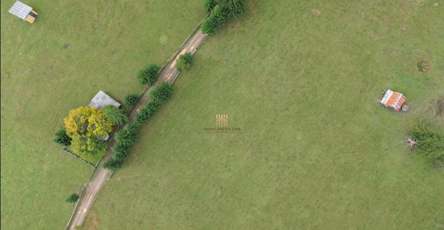 Teren 2804 mp, la munte! In Bucovina Fundu Moldovei! - 2