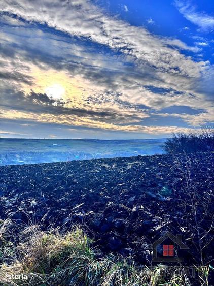 URGENT! Teren de vanzare,suprafata 2.894 mp Copaceni, Com. Sandulesti - 1