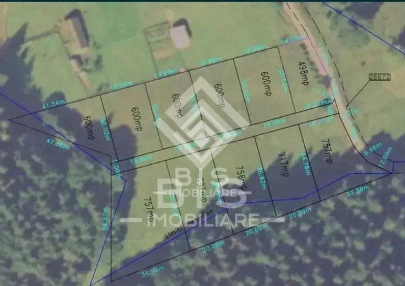 Teren intravilan parcelabil- Colibi?a, investitie - 7