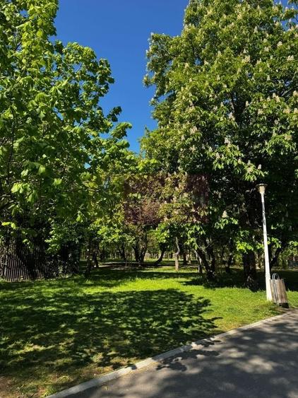 Apartament 3 camere, la parc IOR - 12