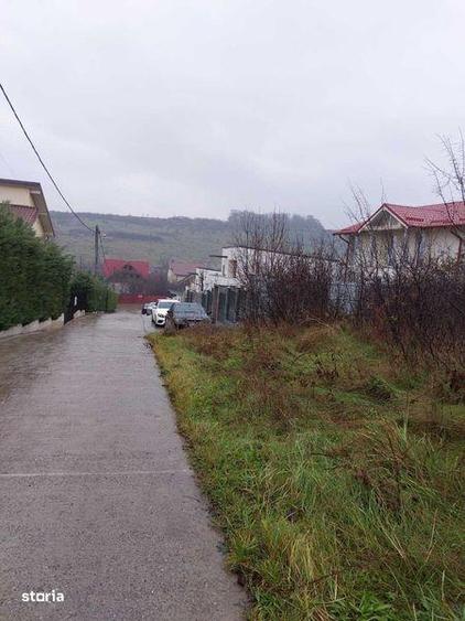 Teren Bucium 3 min de Hanul 3 sarmale, la Soseaua Barnova - PROPRIETAR - 7