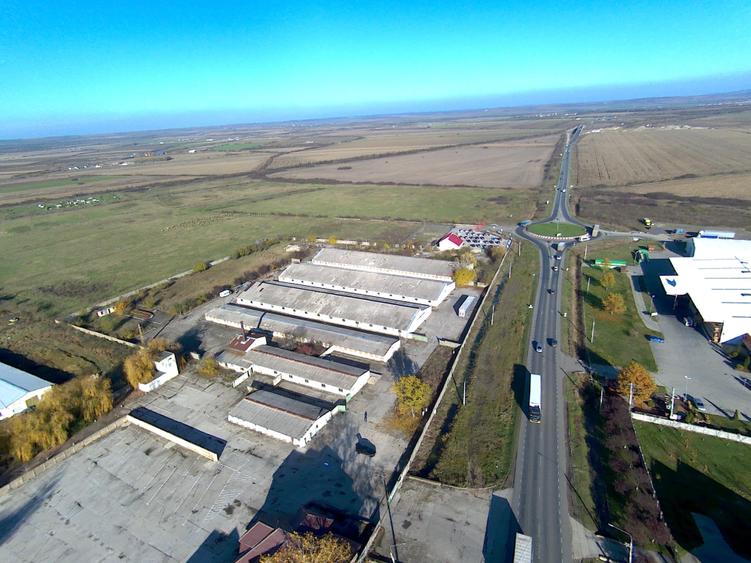 Platformă betonată de închiriat până la 6000 mp, Remetea Mare lângă A1 - 3
