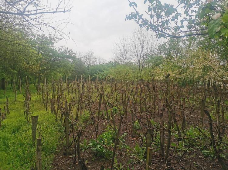 Casa de vanzare in sat Merisani Com Babaita /Teleroman - 6