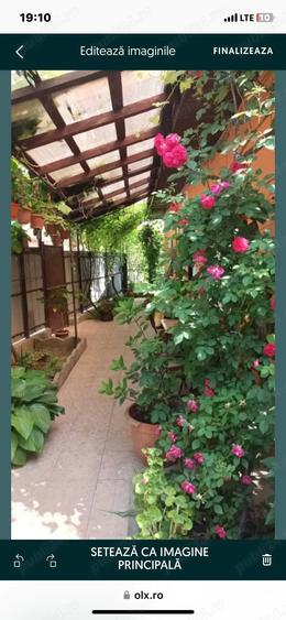 Vand casa in centrul ora?ului Vanju Mare MH - 5