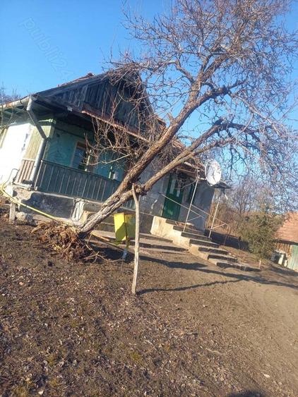 casa la tara de vanzare - 3