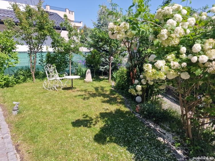 Vila P+1 individuala Mogosoaia,apr de lac si padure,2km de centura,loc premium - 11