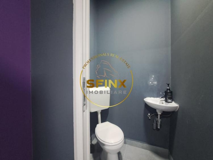 De inchiriat Spatiu Comercial Banu Manta - 9