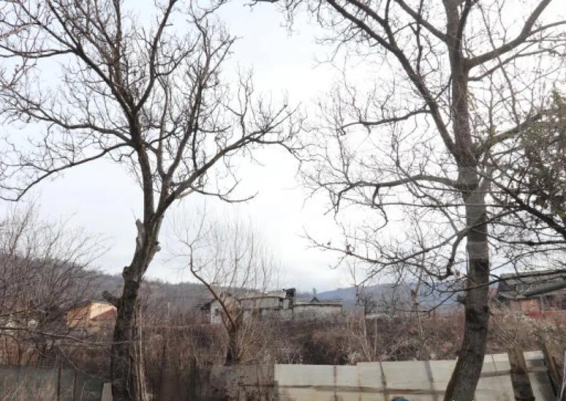 Casuta de vacan?a, 21 mp, zona submontana Moroienim DB - 7