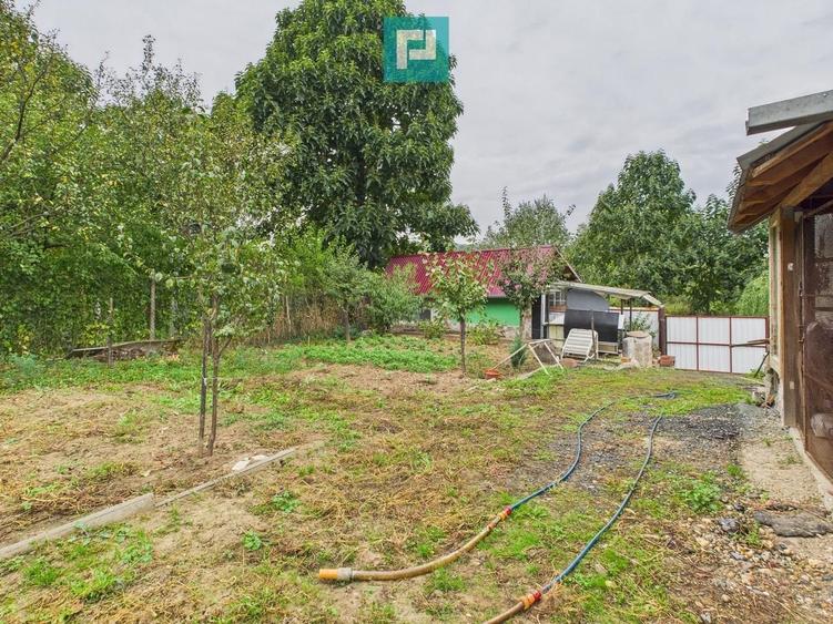 Căsuță de vacanță pentru pescari în Lipova - 2