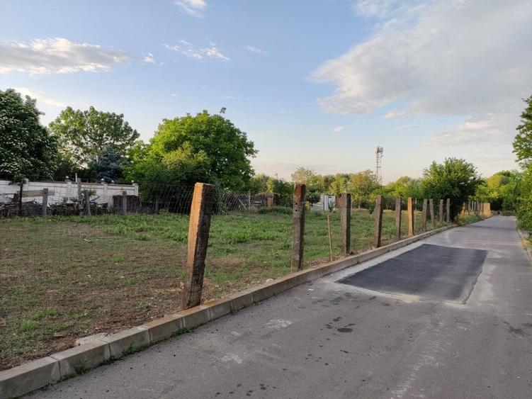 Teren Straulesti 500mp - 13