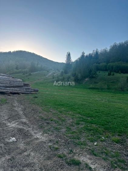 Teren intravilan în Marginea