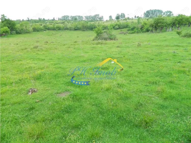 Teren intravilan de vanzare, Campina Prahova - 1