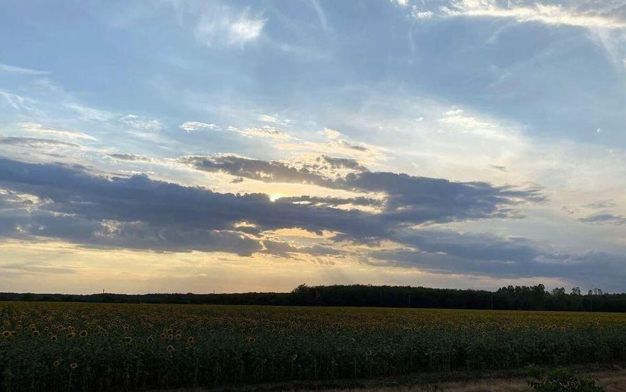 Tamasi, langa padure, 12.824 mp, deschidere 45 ml, teren ... - 1