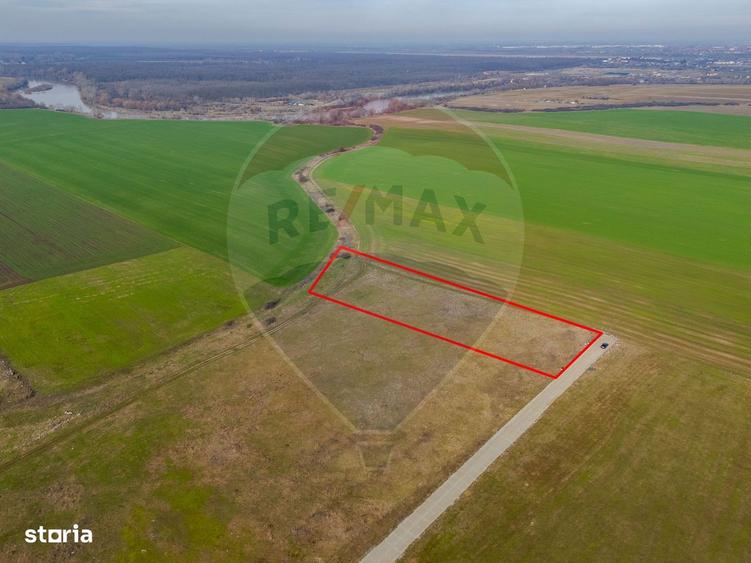 Teren intravilan 10.000 mp in Zona Industriala Sud Arad - 6