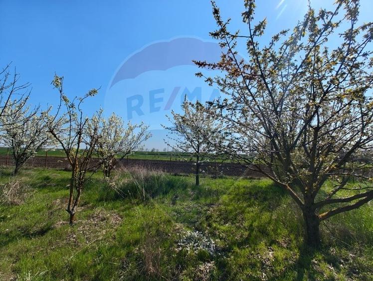 Casa de vanzare cu teren de 2175 mp,anexe si livada generoasa | Mailat - 14