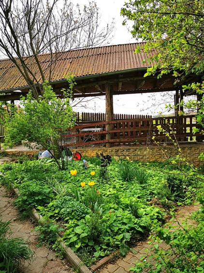 Com. Ileana, 4000 mp. teren intravilan si casa de vacanta cu deschidere la Balta - 10