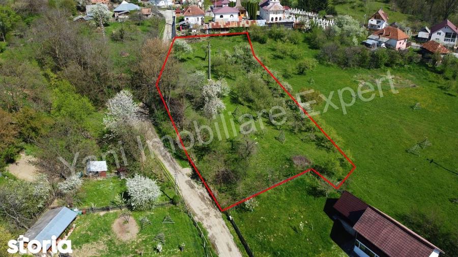 Teren 2677 mp de vanzare in comuna Valea Ia?ului, jude? Arge?. - 9