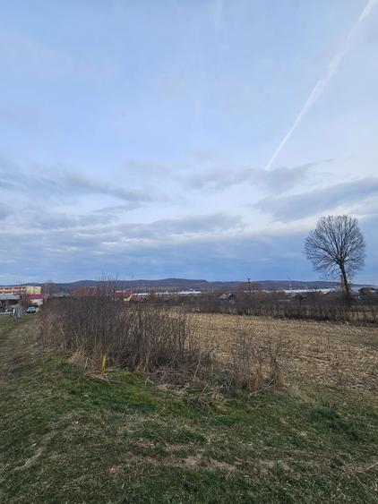 Teren de Vanzare in Curtea de Arges (2645 mp) Ideal Parcelare - 2