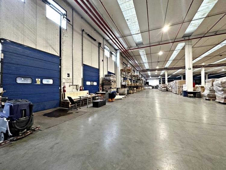 Gaminvest Hala de inchiriat, Parcul Industrial Bors , Bihor,A1950A - 7