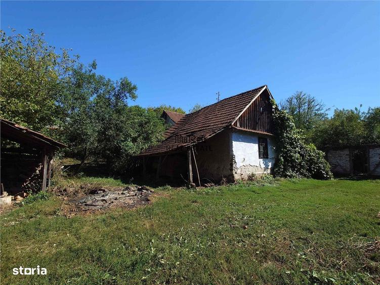 Teren intravilan si cladiri in Lunca - 10