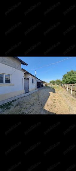 Casa de vanzare 5 km de Pite?ti, 2.000 mp teren, zona lini?tita - 4