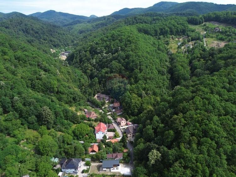 Casa noua de vanzare in zona Parcul Mare (Regina Maria)-semifinisata - 31