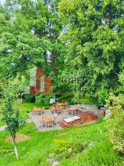 Vilă in Bran cu teren de 28.000 mp și priveliște spectaculoasa - 28