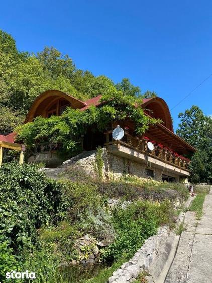 Domeniu exclusivist 17.000 mp | Vila luxury cu piscina & SPA Carbu - 11