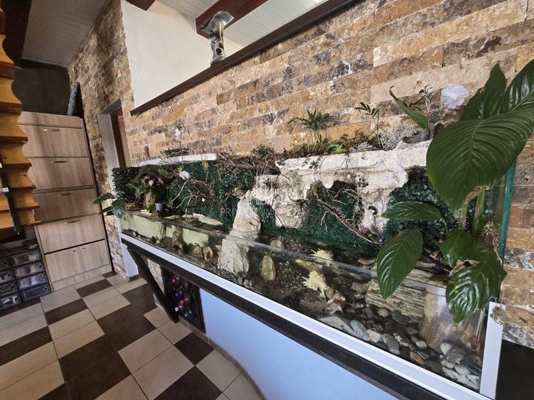 Casa cu piscina, 3450 Mp suprafata teren, Albesti, Mures - 5