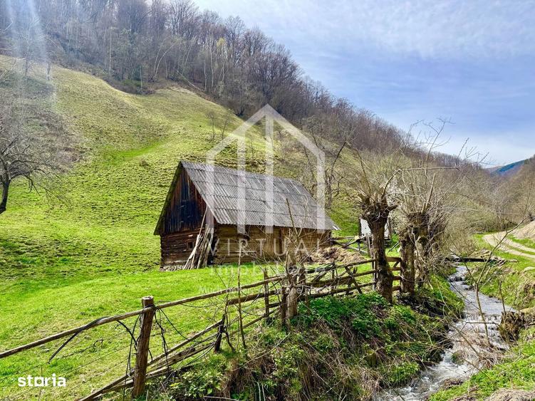 Teren intravilan + faneata, ideal pentru investitie - Rau Sadului - 10