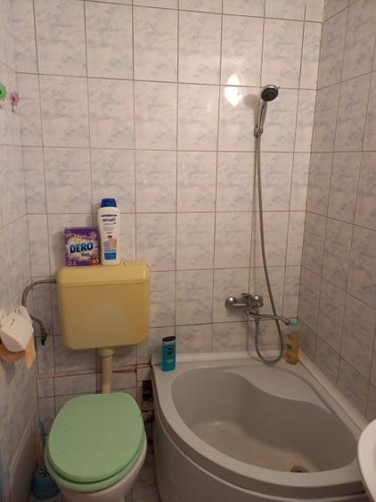 Lacul Tei,Teiul Doamnei vav Parcul Tei - 6