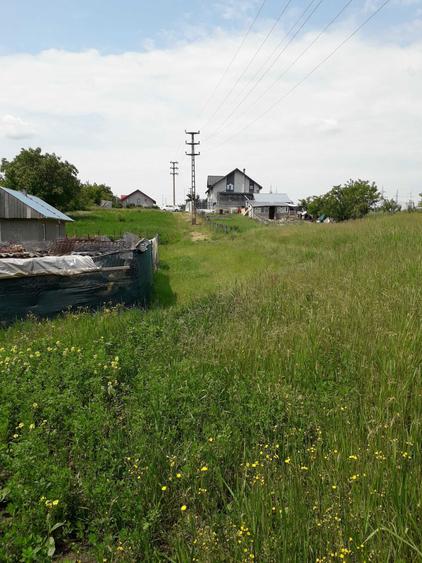 Vand teren intravilan in Tg.Frumos - 1