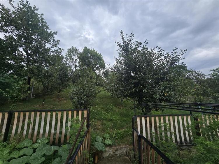 Casa De Lux  in Sinca Veche - 25