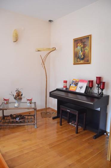 Busteni-Vila de vacanta ,amplasament special - 4