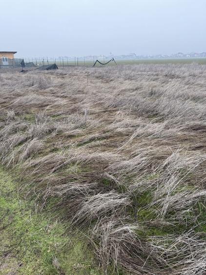 Vand/Schimb teren in Simian - 3