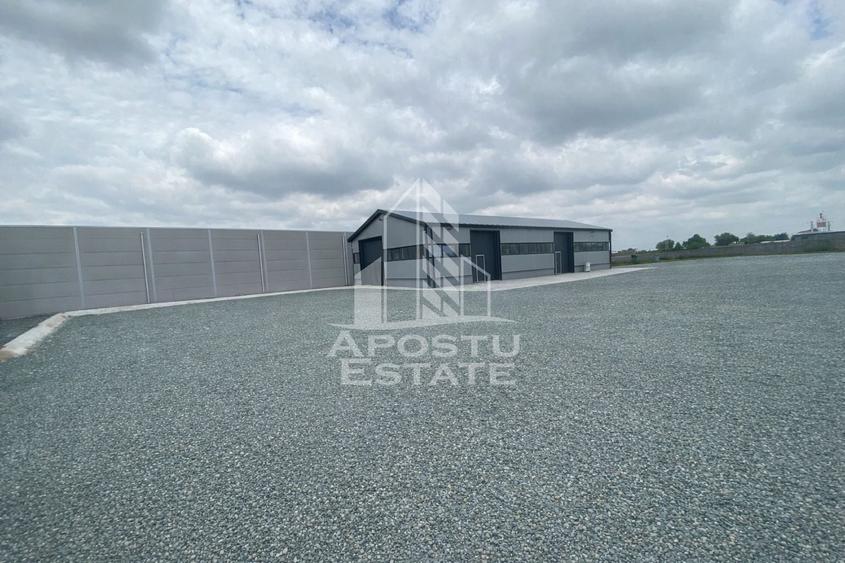 Hala de închiriat – Sacalaz,  curte generoasă, show-room, service auto - 1