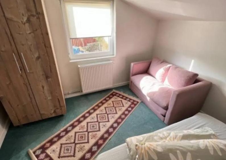 Cabana cu 4 dormitoare, foisor, ciubar, Statiunea Muntele Ba - 17