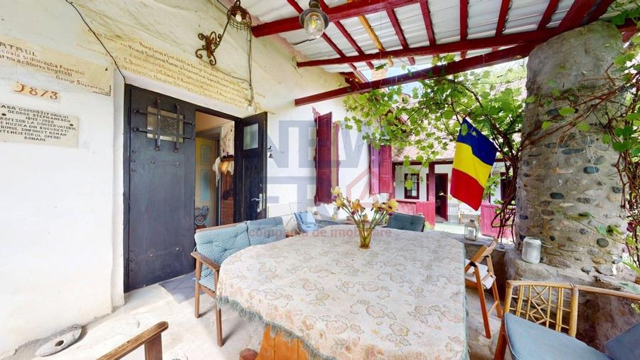 CONACUL GEORGE STEPHANESCU - 6